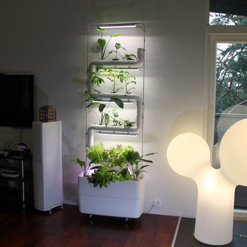 Green Wall System Kits Up to 4 Plantsteps®