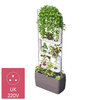 Green Wall System Kits Up to 4 Plantsteps®