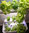 Vertical Hydroponic Food garden system kit | Supragarden 2