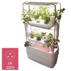 Supragarden hydroponic system with 2+2  Plantsteps | UK white