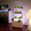 Green Wall System Kits Up to 3 Plantsteps®