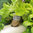 Living Plant Wall & Green Wall system kit | Supragarden 3