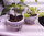 Kivivillakuutio levy kasvien istutukseen | 28 kpl