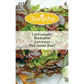 Lettuce seeds - Red Salad Bowl