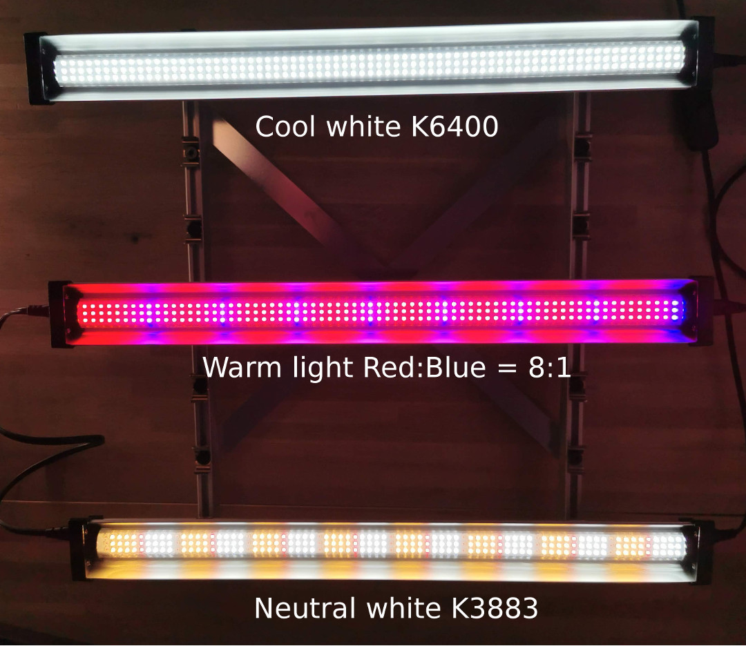 Køre ud evig mikrofon The best Led grow light with Red & Blue spectrum , 39 w, 57 cm