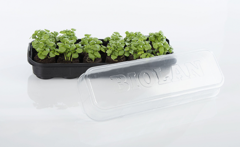 Mini plant dome for Plant Propagation | Biolan