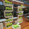 Green Wall system Kit with 5+5  Plantsteps on Supragarden