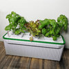 Indoor Smart Garden | hydroponics planter system