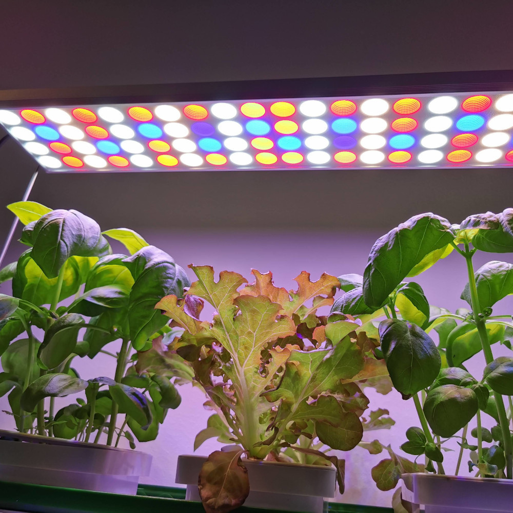 LED grow panel light with 3 spectrums for growing