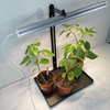 Stand for Led Grow Light with base plate
