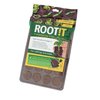 Root!t juurrutussieni ja tarjotin | 24 kpl
