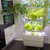Build Supragarden 2+2 | Hydroponic Food Garden system