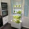 Build Supragarden 3 | Living Plant Wall & Green wall System Kit