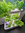 Build Supragarden 4 | Green Wall System Kit up to 2.2 m