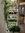Kokoa Supragarden 4 | Viherseinä & kasviseinä, 2,2 m korkea