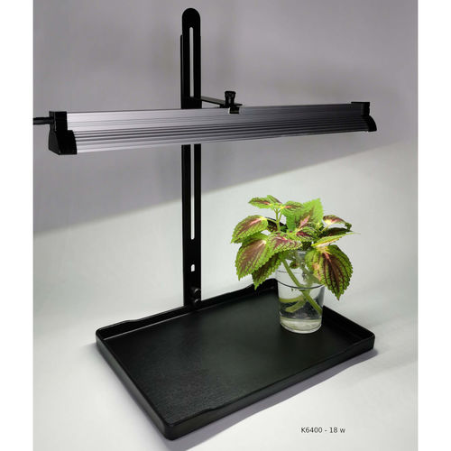Plant light, stand and plate for growing seedlings