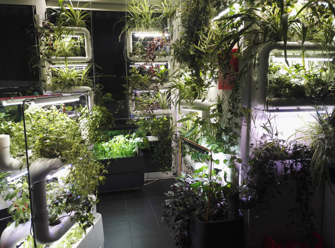 Supragarden-Green-Wall-DIY-Hydroponic-Garden-Kit